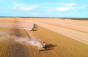 Freios sobre o crescimento nos valores agrícolas do norte da WA enquanto os preços do trigo saem da fervura Freios sobre o crescimento nos valores agrícolas do norte da WA enquanto os preços do trigo saem da fervura