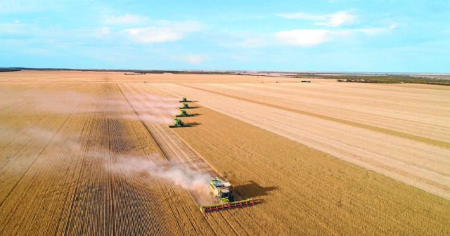 Freios sobre o crescimento nos valores agrícolas do norte da WA enquanto os preços do trigo saem da fervura

