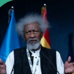 "Fui recentemente sequestrado, roubado no exterior": Wole Soyinka narra a experiência angustiante