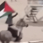 Um homem monta um cavalo em Bondi Beach, Sydney, Austrália, agitando uma bandeira palestina.