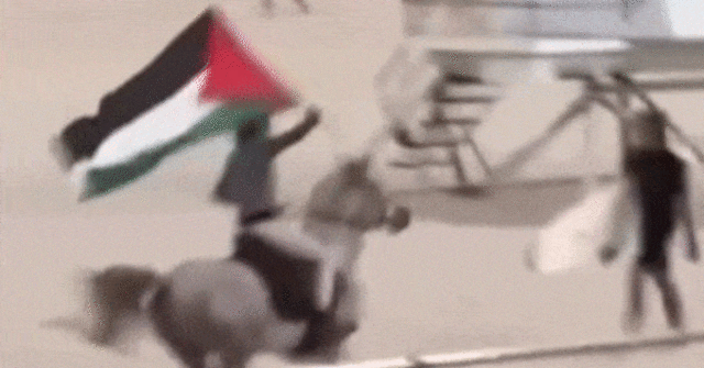 Um homem monta um cavalo em Bondi Beach, Sydney, Austrália, agitando uma bandeira palestina.