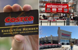 Horas exclusivas da Costco para os membros executivos dos membros muito bem recebidos ‘, impulsionando as vendas de 1% Horas exclusivas da Costco para os membros executivos dos membros muito bem recebidos ', impulsionando as vendas de 1%