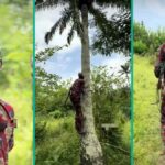 Idosos nigerianos alpinista de palmeiras compartilha ganhos diários após 32 anos no trabalho