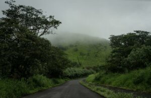 Ilhas Galápagos, Santuário de Animais Selvagens, Encontra uma epidemia de violência física relacionada ao sexo: ‘A segurança está faltando’ Yahoo news home