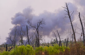 Inúmeros americanos informados para ficar longe de dirigir, pistas drive-thru Inúmeros americanos informados para ficar longe de dirigir, pistas drive-thru