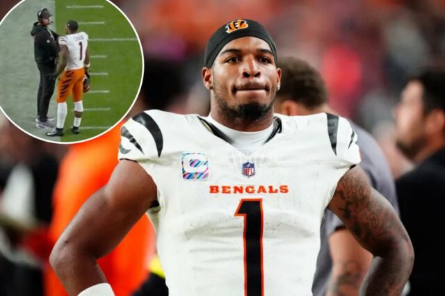 O jogador do Cincinnati Bengals, Ja'Marr Chase, olha do campo.