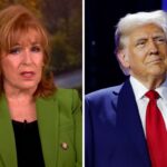 Joy Behar, chocantemente, concorda com o presidente Trump em 'The View': “Raramente tenho algo em que concordo com Trump”