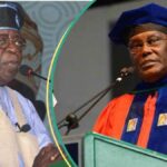 Jubilação como Tinubu aprova o pagamento de garotas de Chibok em Aun de Atiku, veja o colapso