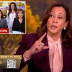 Kamala Harris nega alegações de que sua aparência de 'visão' foi o ponto de inflexão na campanha