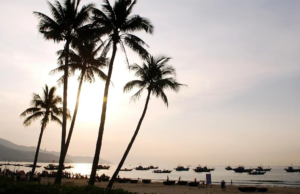 Karnataka à frente com o plano turístico à beira -mar; Govt recebe empresas exclusivas Karnataka à frente com o plano turístico à beira -mar; Govt recebe empresas exclusivas