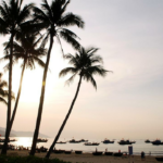 Karnataka à frente com o plano turístico costal; Govt recebe empresas pessoais