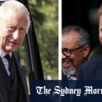 King deixa claro que Harry não pode ser 'meio-in e meio real' Royal '