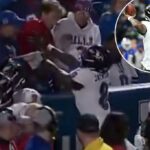 O fã bateu em DeAndre Hopkins e Lamar Jackson enquanto comemoravam um touchdown.