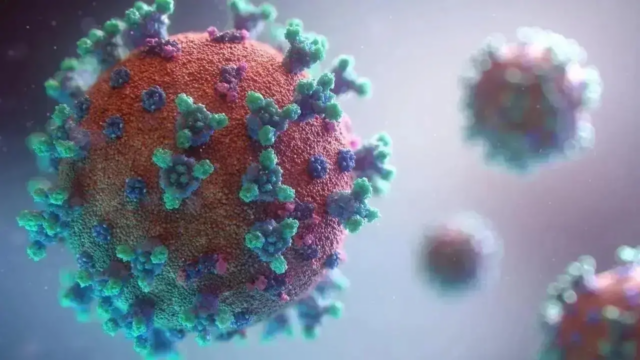 Lancet Research estabelece modismos no episódio de HMPV 

