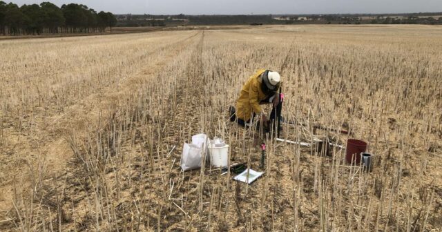 Landcare Subsídios para ajudar a aumentar os esforços de biodiversidade ONFARM em toda a Austrália

