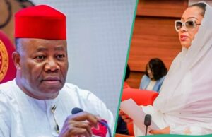 “Lembre -se de Natasha ou enfrentar uma ação legal”: o Senado recebe um forte aviso, os detalhes emergem "Lembre -se de Natasha ou enfrentar uma ação legal": o Senado recebe um forte aviso, os detalhes emergem