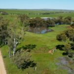 Mantenha o estoque ou converta para a colheita no Belt Wheatbelt do Northern