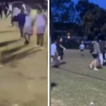 'Muitas crianças chorando': famílias pegadas em brigas de parque selvagem