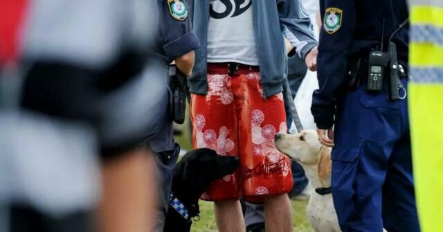 A polícia de NSW enfrenta uma grande lei de compensação após uma decisão sobre uma busca ilegal de tira em um festival.