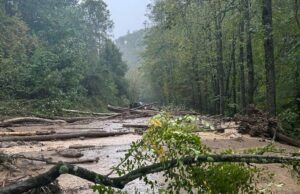 NC GUV proclama o estado de situação de emergência; ‘grande deslizamento de terra’ em grandes fumantes O desvio de Gatlinburg está fechado em 27 de setembro de 2025, depois que fortes chuvas causaram um grande deslizamento de terra. Enquanto isso, o governador Josh Stein declarou um estado de emergência na Carolina do Norte, enquanto o estado se prepara para possíveis chuvas e inundações.