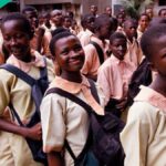 NERDC confirma novos assuntos para a reforma educacional da Nigéria