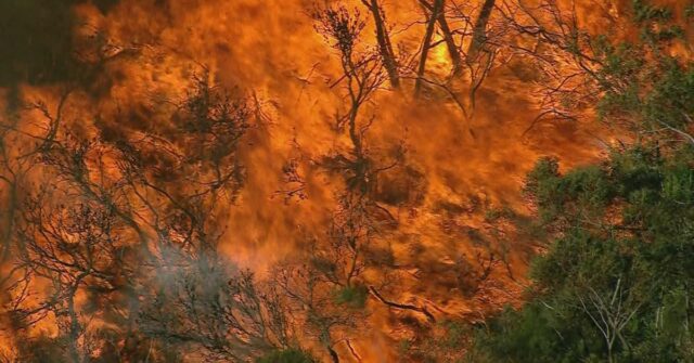 Norte de Bushfire Sydney