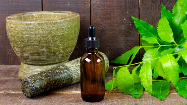 Necessário para trazer o Ayurveda à vanguarda da assistência médica internacional: supervisor AIIA-GOA 

