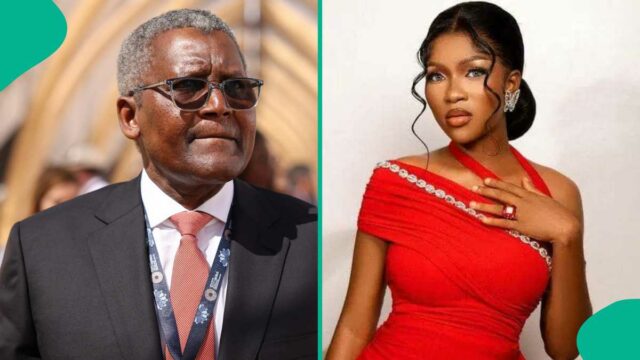 Nova atualização como Dangote Group evacuam restos da irmã falecida de Phyna


