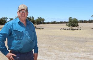 Nova série de podcasts compartilha as experiências da paternidade rural na Austrália Nova série de podcasts compartilha as experiências da paternidade rural na Austrália