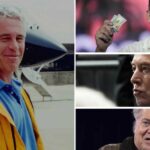 Elon Musk disse que uma programação diária de Jeffrey Epstein que o referenciou foi