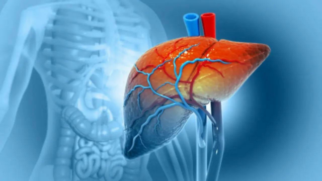 Novos membros, exame para antecipar a ameaça da cirrose hepática, células cancerígenas dentro de dez anos 

