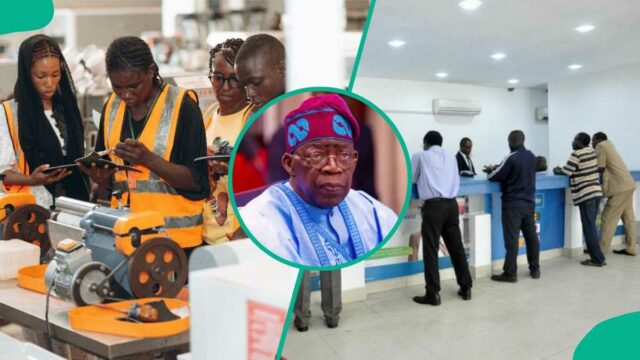 Número de identificação tributária (TIN) obrigatório para todos os nigerianos tributáveis ​​de 2026

