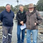 Nutrien Livestock Boyanup Gattle Store vê forte demanda e concorrência
