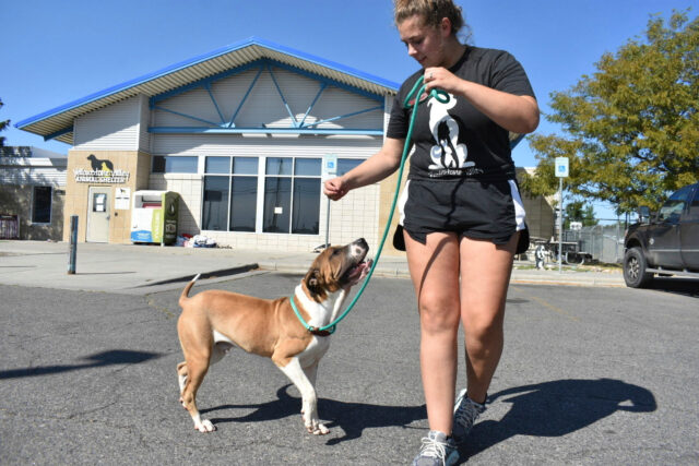 O FBI utiliza o queimador de santuário para animais de estimação para queima de medicamentos, doentio 14 

