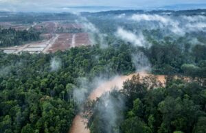 O Fundo Soberano da Noruega deixa cair o mineiro francês sobre os medos ambientais O Fundo Soberano da Noruega deixa cair o mineiro francês sobre os medos ambientais