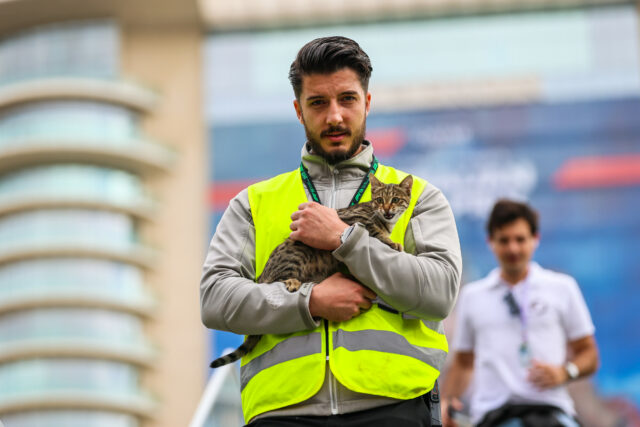O Grande Prêmio Viral do Azerbaijão "Paddock Feline" obtém um nome e inúmeros seguidores 

