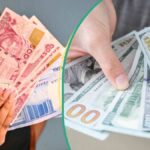 O Naira aprecia enquanto a CBN intervém nos mercados de FG