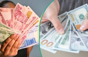O Naira aprecia enquanto a CBN intervém nos mercados de FG O Naira aprecia enquanto a CBN intervém nos mercados de FG