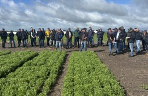 O Paddock Tour recebe pulsos de corrida à medida que o tamanho da colheita e o interesse da indústria cresce O Paddock Tour recebe pulsos de corrida à medida que o tamanho da colheita e o interesse da indústria cresce