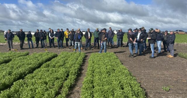 O Paddock Tour recebe pulsos de corrida à medida que o tamanho da colheita e o interesse da indústria cresce

