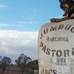 O acordo da estação de ovelha em Rawlinna no limbo seis meses após a venda anunciada