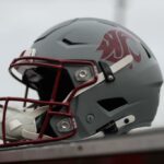 Capacete de pumas do estado de Washington