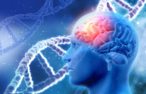 O desenvolvimento humano pode explicar altas taxas de autismo O desenvolvimento humano pode explicar altas taxas de autismo