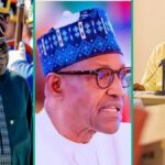 O ex-ministro de Top Buhari fala sobre Tinubu vs Atiku's Coalition