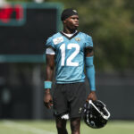 O gráfico de profundidade de Jaguars expõe o principal dever de Travis buscador para a semana 1