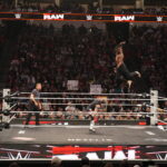 O grupo de tags da WWE Raw Celebrity recebe uma atualização significativa