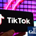 O legislador pede exame criminal francês diretamente em tiktok