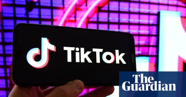 O legislador pede exame criminal francês diretamente em tiktok 

