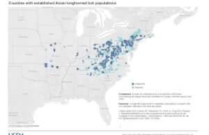 O mapa revela onde o Tick de Larghorned intrusivo encontrado nos Estados Unidos O mapa revela onde o Tick de Larghorned intrusivo encontrado nos Estados Unidos