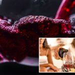 O médico revela os efeitos devastadores do vinho - e outras guloseimas - podem ter no seu sono